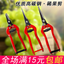 High carbon steel thin fruit scissors vegetable and fruit scissors straight head upturned head fruit picking fruit picking tomato grape orange scissors