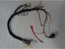 Suitable for Honda CG125 Happiness XF125ZJ Pearl River 125 Motorcycle full car Line big main wire