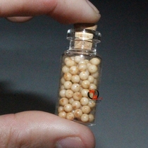 Sakyamunis strong son is attached to the Tibetan shrine.