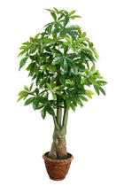 Simulation potted fortune tree Simulation green plant plastic flower Plant tree Fake tree Floor-to-ceiling living room large lucky tree decoration