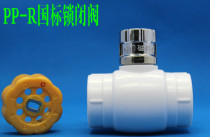 PPR lock valve PPR valve Plastic lock valve Magnetic lock valve GB thickened PPR lock valve