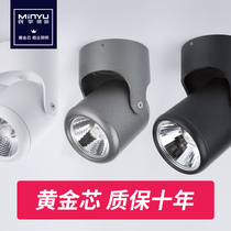 led Universal background wall spotlight cob living room photo spotlight 5 10 15W ceiling type open-hole Open-fitting