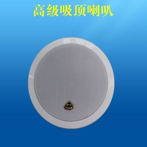 Fixed Pressure Suction Top Horn Ceiling Ceiling Smallhorn Speaker