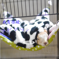 Little wheat squirrel Huangshan snow gold nectar bag flying squirrel hamster winter warmth two mouths into hanging hammock sleeping bag