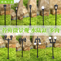 City street lamp sand table model fleshy combination potted moss micro landscape bottle Rainforest plant decoration DIY ornaments