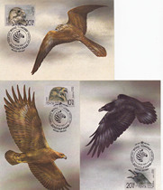 Soviet limit film 1990-bird Golden Eagle pig Falcon Big Crow fundraising for animal protection fund 3 full 6199