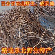 Select Northeast Wild China Herb Medicinal Herbs Vegan Fairy Mountain Chili Seedlings Root Wiling Fairy 100 roots 250 gr