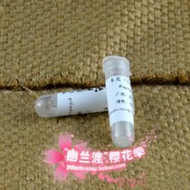 Helo Ferry ~ Cherry Blossom Season DIY Skin Care Products Handmade Soap Lip Balm Cream Raw Papaya Virgin 1ML Thailand