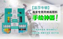 Art Square Windsor Newton 12-color acrylic pigment set Gourd painting pigment DIY painting waterproof pigment