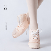 Flesh adult children canvas jazz boots soft-soled dance shoes new practice shoes women modern dance shoes ballet shoes