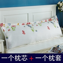 Wash pillow student double pillow core to send pillowcase cartoon double a long pillow core