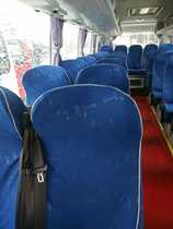Special reservation for passenger car for all kinds of bus school bus seat Shunfa seat cover