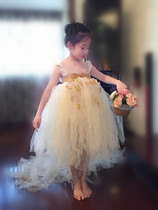 European and American Wind Girls wedding dress Dress Performance Princess Dresses Champagne Golden Princess Dresses Child Fluffy Skirt Chair Writing True