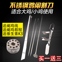 Stainless steel castration tool full set of Chicken Chick castration knife Rooster castration tool castration knife castration device