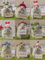 Animals to lift a dragon cat for a birthday blessing creative gift handwritten lift license plate cute?