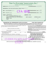 Agent CFA green paper application nest registration Blue paper registration Nest registration CFA pedigree certificate application