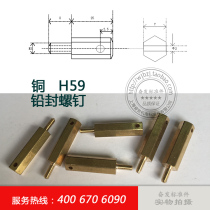 Copper hex lead seal screw lead seal screw with hole screw electronic screw anti-theft screw M3M4