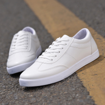 Spring new breathable skateboard shoes mens Korean style trendy shoes students casual shoes white round toe small white shoes mens shoes