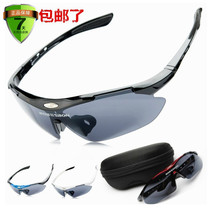 Fishing Glasses Outdoor PC Glasses HD Myopia Sun Sports Wind Glasses (boxed single glasses)