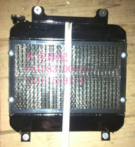 Futian Five Star Tricycle Water Tank 200-11 Han Type Shock Absorbing Radiator Fan Water Cooled Cooling Tank