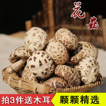 Sichuan Ganzi plateau specialty mushroom mountain Zhen premium size Xiangru dry goods Qingchuan Xianggu flower mushroom 150g