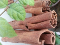 Vietnam deep mountain Lao Gui Tong Cinnamon Yu Gui Vietnam cinnamon is sweet and easy to melt the first-class cinnamon tube 500 grams of catty
