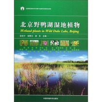 beijing wild duck lake wetland plant