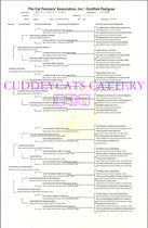Agent CFA 5 generations certificate 5 generations pedigree map query 5 generations of cat ancestry