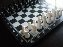 Black and white chess children boxed chess plastic folding trumpet chess clearance