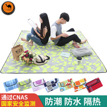 Freedom Boat Camel picnic mat Outdoor beach tent mat Portable waterproof thickened lawn mat Picnic cloth