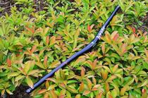 PASS QUEST FREEDOM 780MM20mm lift 7050al speed drop DH AM ENDURO swallow