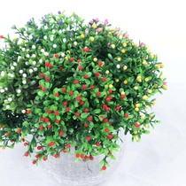 Simulation Flower Simulation Plant Small Fruits Milan Grass Green Planting Flower Arrangement Decoration Engineering Green Bean Grass Manufacturer