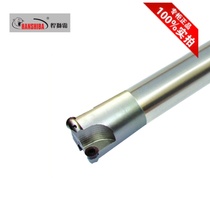 Variable Rod milling cutter SBRD series