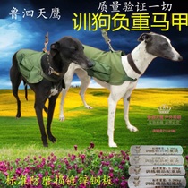 General Gree training to serve Ghui Huey bitdogs with heavy bag Machia negative weight training Endurance Outbreak Endurance