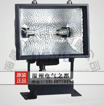 Marine waterproof floodlight TG17A dock light dock light tunnel light lawn light construction site lighting tunnel light