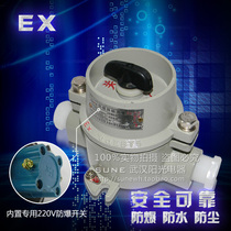 Explosion-proof lighting switch SW-10 220V explosion-proof switch cast aluminum (all copper contacts) Shanghai people BZM