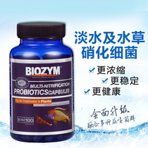 BIOZYM Baintless Bacteria Aquatic Fish Fish Tank Water Purification Nitrifying Bacteria Dry Powder Capsules Nitrifying Bacteria