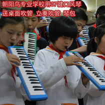 37-key mouth organ professional students Childrens mouth organ beginner with blowpipe classroom teaching playing musical instruments