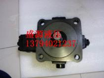 Taiwans cruise force EALY card VPE-F30D-10 VPE-F40D-10 oil pump
