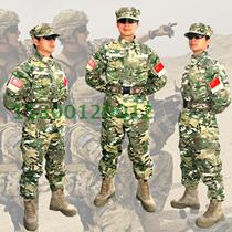 US military outdoor fans loose casual CP camouflage suit suit mens CS field training clothing autumn and winter clothes large size