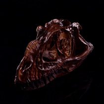 Corner Nose Dragon Dinosaur Skull Resin Skulls Skull Head Personality Home Furnishing Creative Furnishing home Pendulum Specimen Teaching