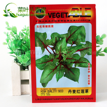 Danish Red Lotus grass seeds salvage grass salvage vegetables early heat-resistant growth fast 5G