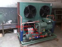 Bizer Refrigeration compressor 4J-13 2 4JE-15Y 15P Cold Depot Refrigeration Refreshing Freezer Group