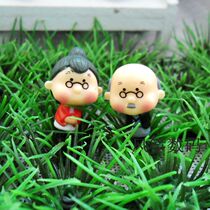 Moss Microscape Ornament Mini Paparazzi old male mother-in-law Multi-meat bonsai DIY small material People with occasional small hem