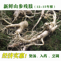 Fresh ginseng Broken Branches Broken Branches of fresh ginseng Fresh ginseng Mountain ginseng Lower ginseng Non-ginseng Ginseng Wild Mountain Ginseng