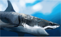 Pure manual replacement of American pool cue leather grip black eight billiard club rear handle fancy 9 ball bull leather handle