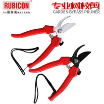 Japan Robin Hood Gardening Scissors Repair Branch Cut Fruit Tree Scissors Home Labor-saving Branch Clippers Tool To Fix Flower Scissors