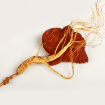 Zhongji Treasure Changbai Mountain Ginseng Wild Ginseng Wild Ginseng