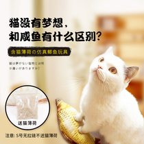 Cat toy fish simulation bite-resistant molar cartoon carp plush pillow funny cat stick cat mint toy P