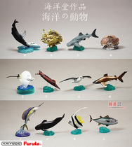 Japan Ocean Hall Furuta bulk Devil Fish whale crab model 12 animal toy ornaments